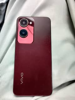 vivo