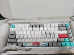 Skyloong gk84 coral sea red switch hot swappable RGB keyboard