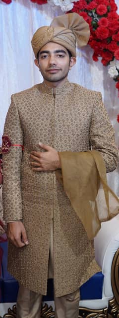 Sherwani for Sale