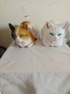 cat decoration