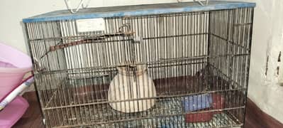 2 cages