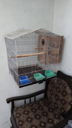 Birds