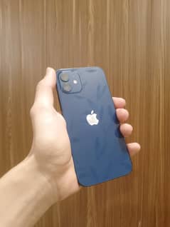 iPhone 12 256 GB