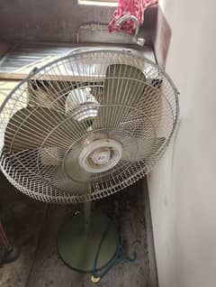 Standing Fan available for sale