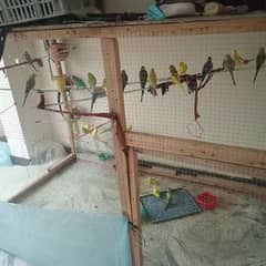 beauitiful