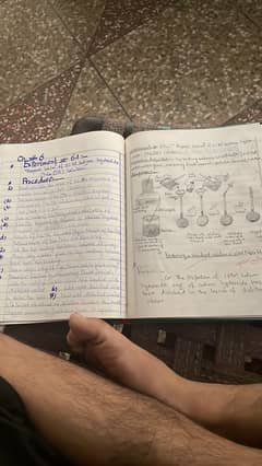 Assignment writing