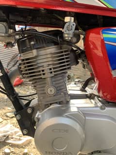 Honda 125 2022 red colour