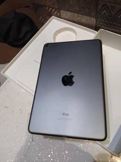 ipadmini5