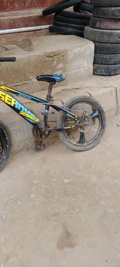 searose kids bicycle for sale