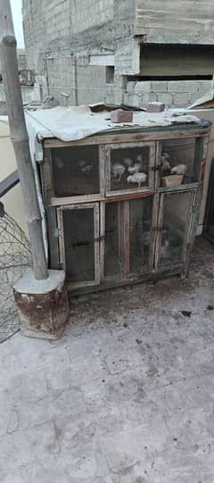 wood cages or cage front door available lakri ke pinjre