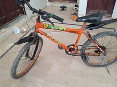 Ferrari Brand Bicycle For Sale