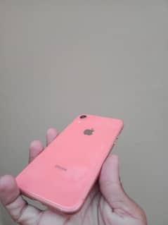 iPhone XR