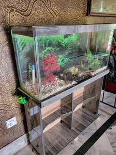 3Ft t Fish Aquarium
