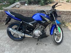 Yamaha YBR 125 ESD 2021 – Excellent Condition