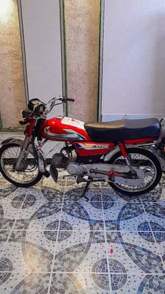 Bik For Sale