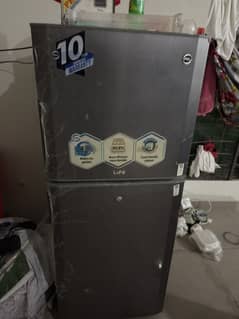 Pell Fridge with steplizer Medium Size