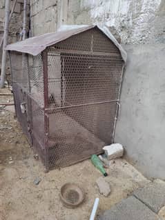 hen cage