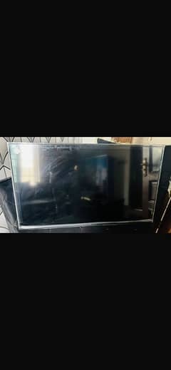 TV LED wifi TCL latest 55 inch