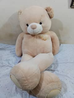 teddy bear