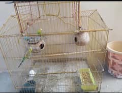 4 bugles and one big cage 100 health no issue