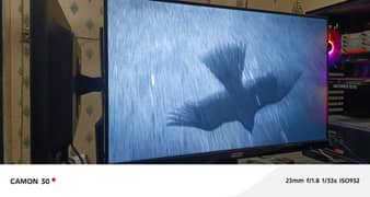 computer lcd