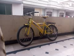 Delux bicycle