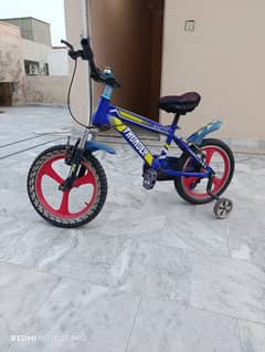Kids Bicycle - THUNDER (14 inch) with Training Wheels