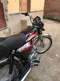 For Sale CD 2025 Black