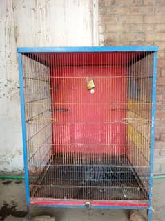 cage and box for sale in sahiwal