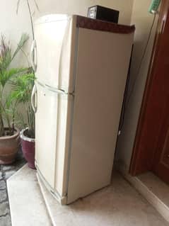 pell prig for sell