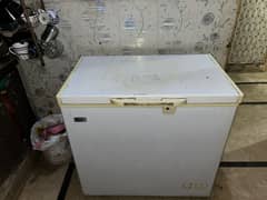 D FREEZEER FOR SALE