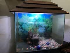 Fish Aquarium for sale