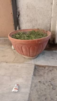 Three Beautiful Pots with Soil For Sell.