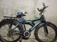 Royal Sports Bicycle 