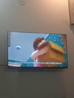 43