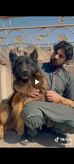 Long coat stud male
