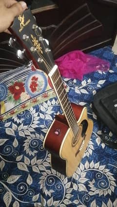 swift horse semi acoustic guitar with all in one deal