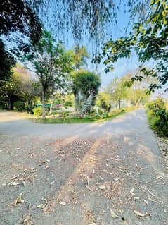14 Kanal Farm House For Sale Main Bedian Road Thethar
