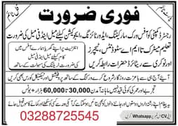 staff hiring