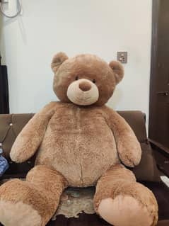 Giant Teddy Bear / khaki color