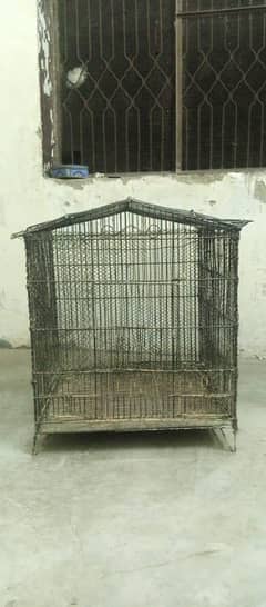 Birds cage