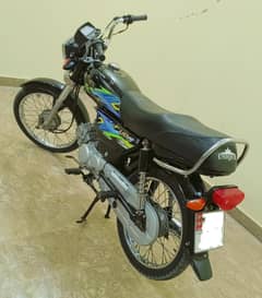 Unique UD 70 2024-25