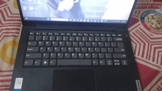 New