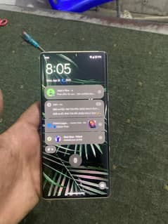 WhatsApp number 03169735713