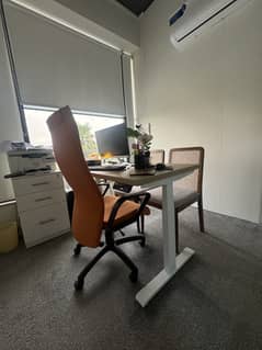 Standing Desk - Dual Motor - Imported