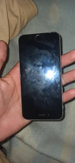 iPhone 6