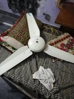 fan for sale