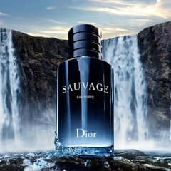Dior Sauvage Eau de Toilette – 100ml