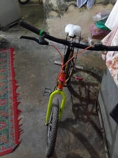 cycle only 3week chaly ha