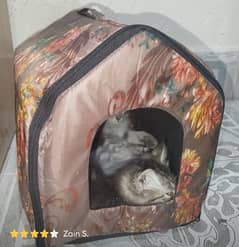 Cat house for sale on cheap price